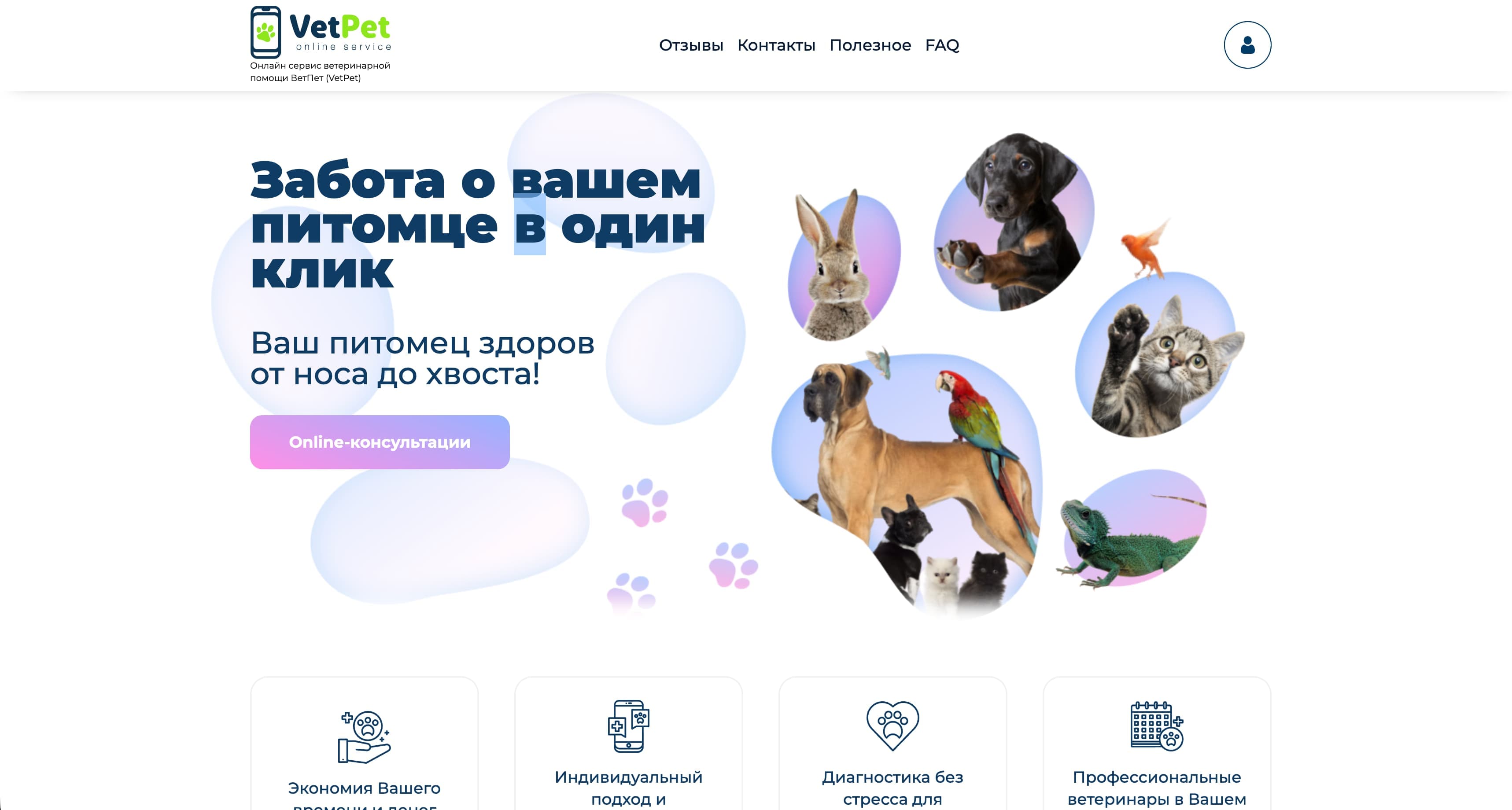 VetPet - Veterinary Service Pllatform